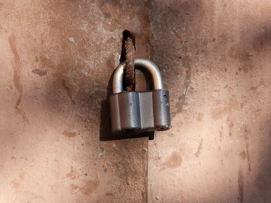 В Калининском районе Петербурга огонь полностью уничтожил автомобиль в гараже